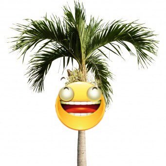 CancunComedyLA's profile picture. Indie Improv Group. Est. 2017