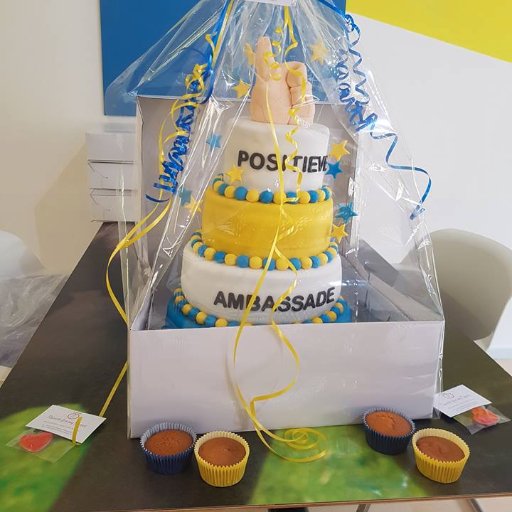 Wij zijn de positieve ambassadeurs. Niets is makkelijker dan iemand te laten glimlachen. Dat is onze missie. Meer positiviteit, gezelligheid op straat.