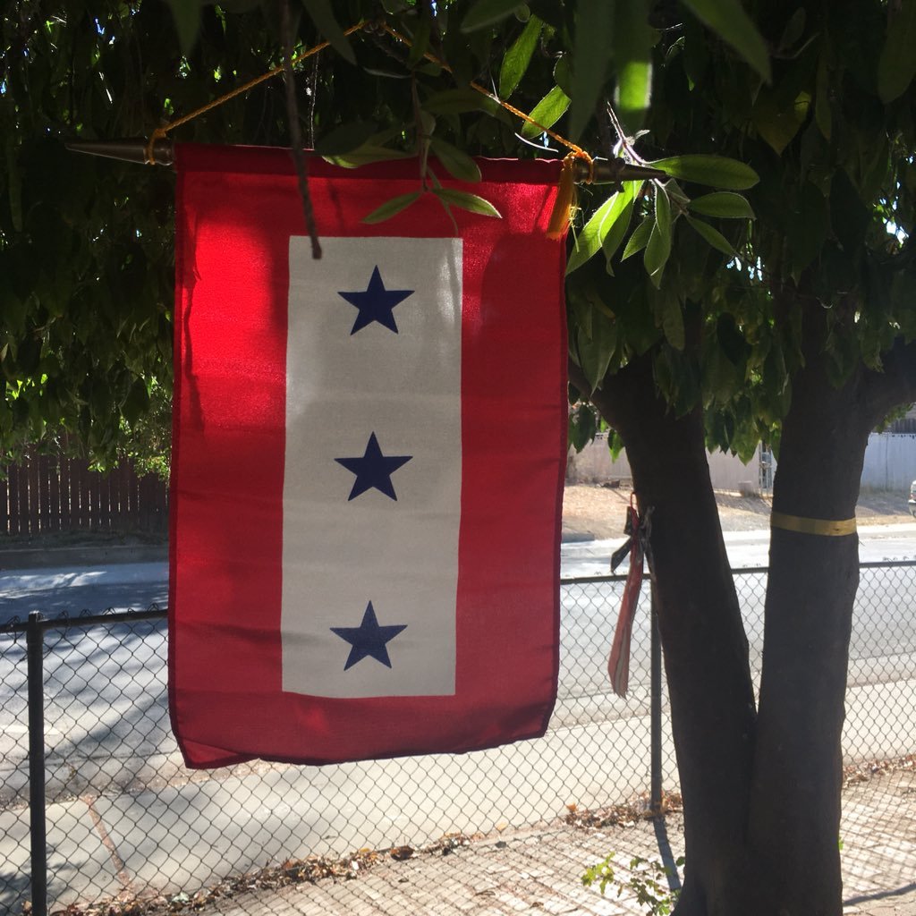 Tuefelhundenmom's profile picture. VVPMMx3