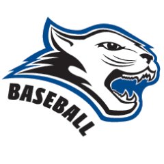 CamdenccBSBL's profile picture. Official Twitter Account of the Camden County College Cougars Baseball Program. #CougarNation #RollCougs