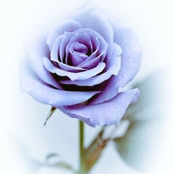 Abdulha13142128's profile picture. , الحمد لله