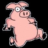 Prodigy_Pig's profile picture. 👉https://t.co/sPrJsZyGic 👈