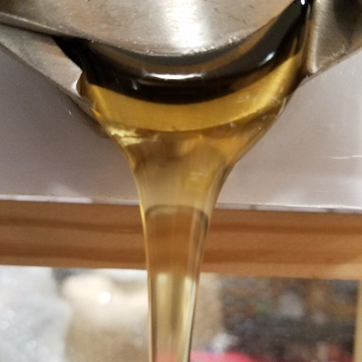 FujiFunnyFarm's profile picture. 