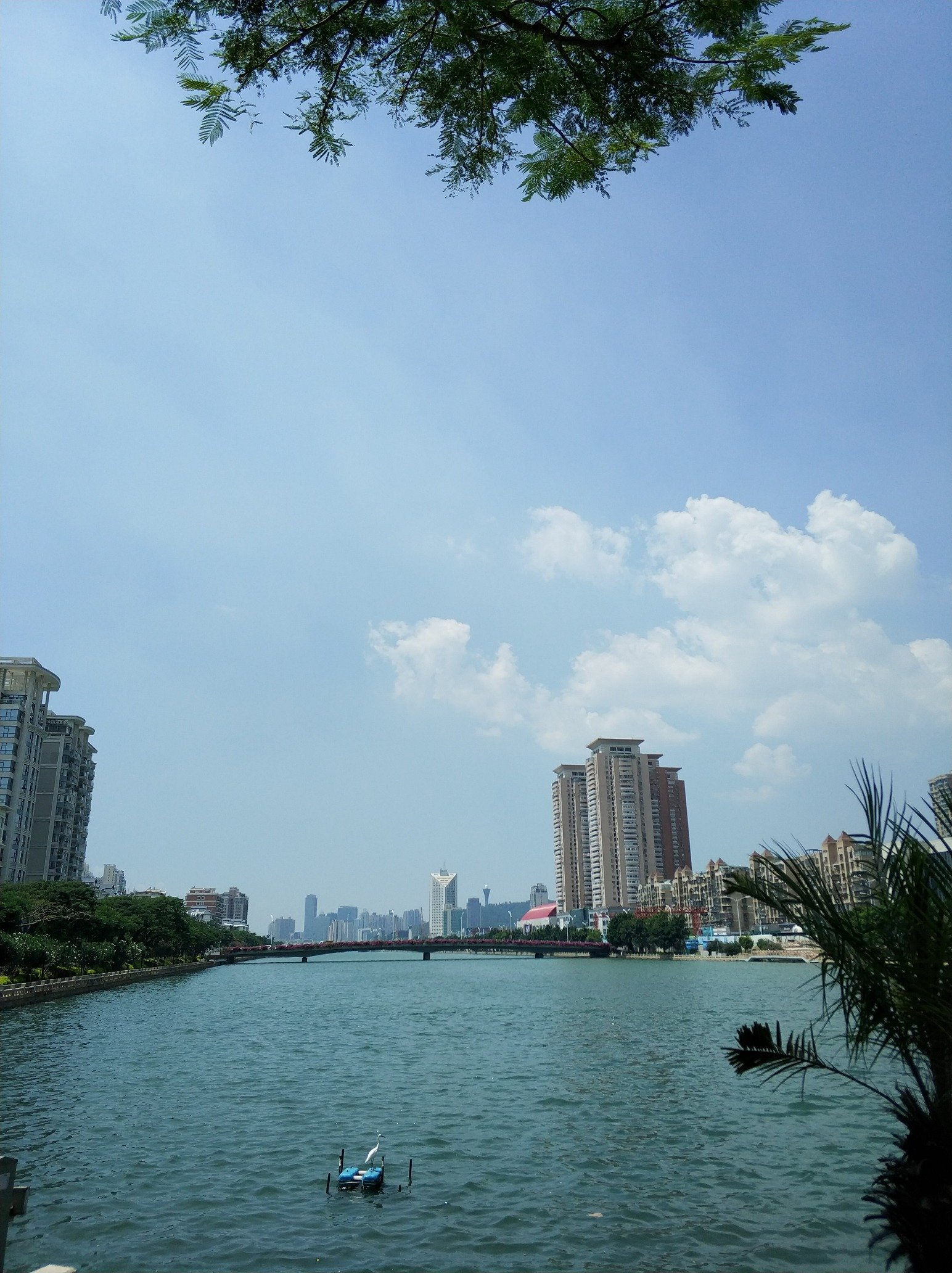 hellohzli's profile picture. new photographer