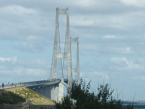 ManageKnowledge's profile picture. 