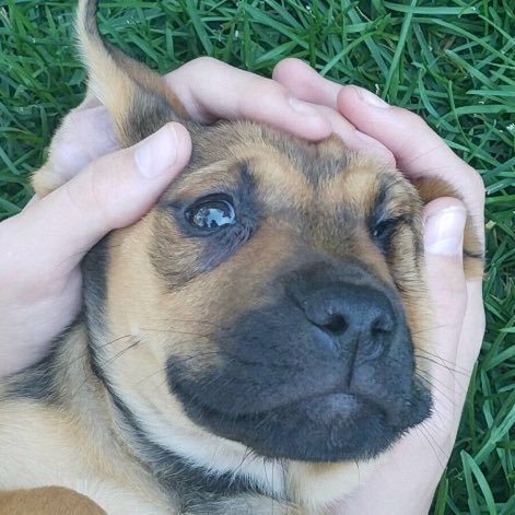 Foshoaz's profile picture. 