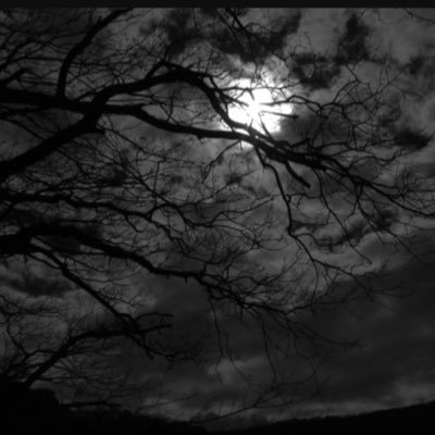 2depressed_'s profile picture. Depression heals empty thoughts