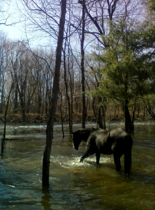 laurief24's profile picture. 