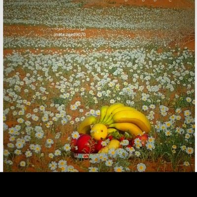 roo_a_oor1's profile image