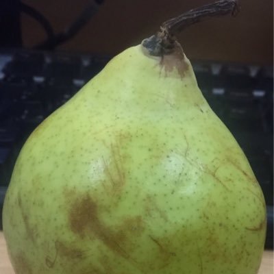 ChileSolodeStgo's profile picture. Deja de decir que “si” por obligación, culpa, costumbre o miedo. Siempre azul...