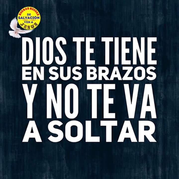 Mauroro40808633's profile picture. 