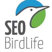 SEO/BirdLifeCanarias (@seocanar) 's Twitter Profile