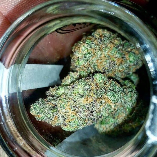 Smoke weed all day, everyday. *Do not own all posts* Have a stoney day. ✌🏼🔥💨☮️