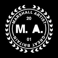Marshall Artist (@marshallartist_) 's Twitter Profile