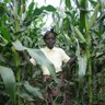 TiyeniFarming's profile picture. Ending #foodinsecurity through #DeepBedFarming and #sustainableagriculture🌱🌍

Please donate now to train a farmer for life https://t.co/U97gY8qLLd
