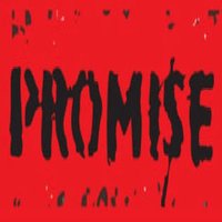 H2020PROMISE (@h2020promise) 's Twitter Profile