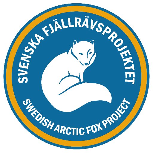 The official twitter account for the Swedish Arctic Fox Project at Stockholm University