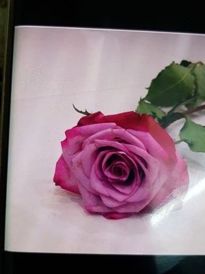 إبنه رجل عظيم فإن مررتم من هنا فأدعوا له بالرحمه ، رحمه الله رحمه واسعه وآسكنه الفردوس الأعلى من الجنه . (مشرفه قياده مدرسيه ) (حساب شخصي ).