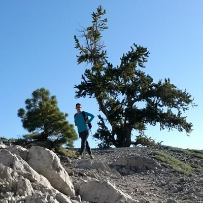 JulieEl75618184's profile picture. Gstl at Target 0680,  tweets are my own