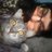 ValentinaS369's profile image