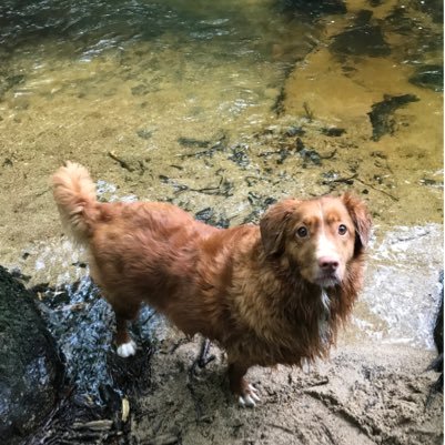 Longs80268829's profile picture. Long family twitter account