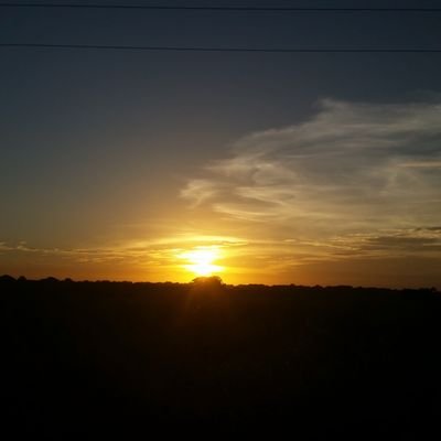 FlorangelMejia's profile picture. La vida es bella!