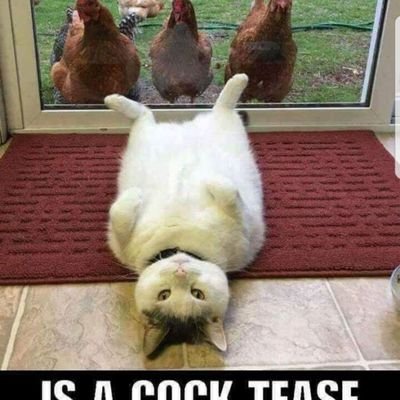 freaky freak suckingdick blowjobs ass pussy naked
