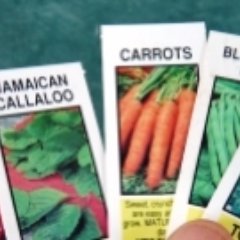 We Carry a wide variety of Organic, Heirloom, Rare,Exoctic, Open-pollinated & NON GMO ,Vegetable, Herb, Fruit, and Flower Seeds