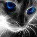 Людмила+ (@djqyjdf1) Twitter profile photo Людмила+ (@djqyjdf1) Twitter profile photo
