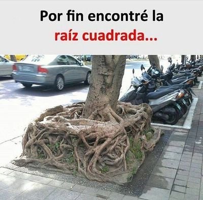 drverdad_HLPR's profile picture. Muy tolerante, salvo con las MENTIRAS

Médico y madre, cómo muchísimas otras

Jubilada pq no había otro remedio

Paca Laso