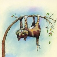 Rhonda Hanlon (@rhondahanlon2) 's Twitter Profile