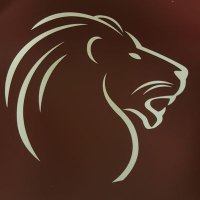 BiggersvilleSports (@bhsgolions) 's Twitter Profile