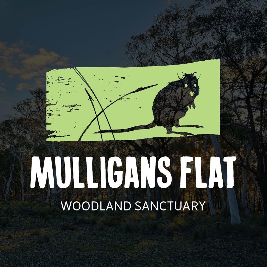 Mulligans Flat