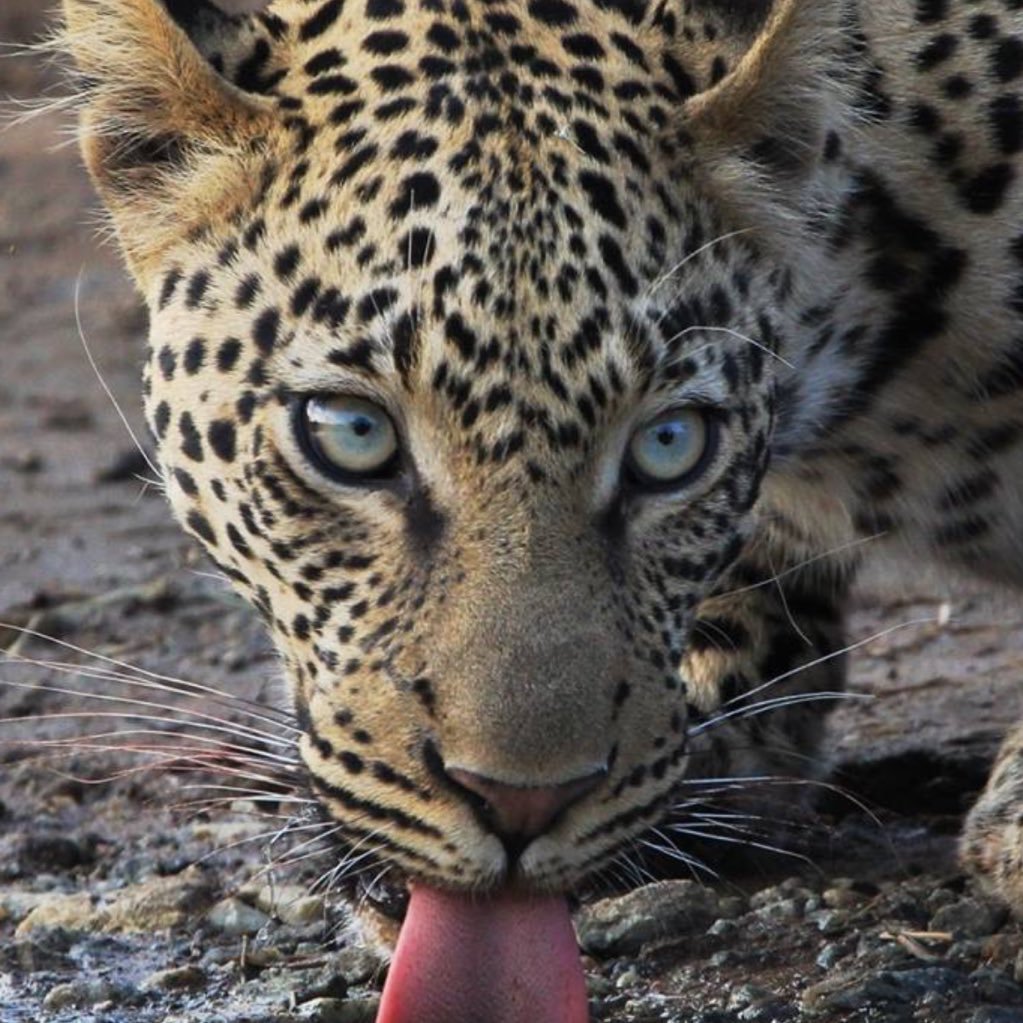 burger_london's profile picture. 