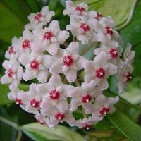 سالب اجنبي (@kamalkhery33) 's Twitter Profile