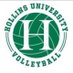 Hollins Volleyball (@HollinsVB) Twitter profile photo