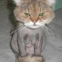 Benjamin Aguilera - @benaguilera - Twitter