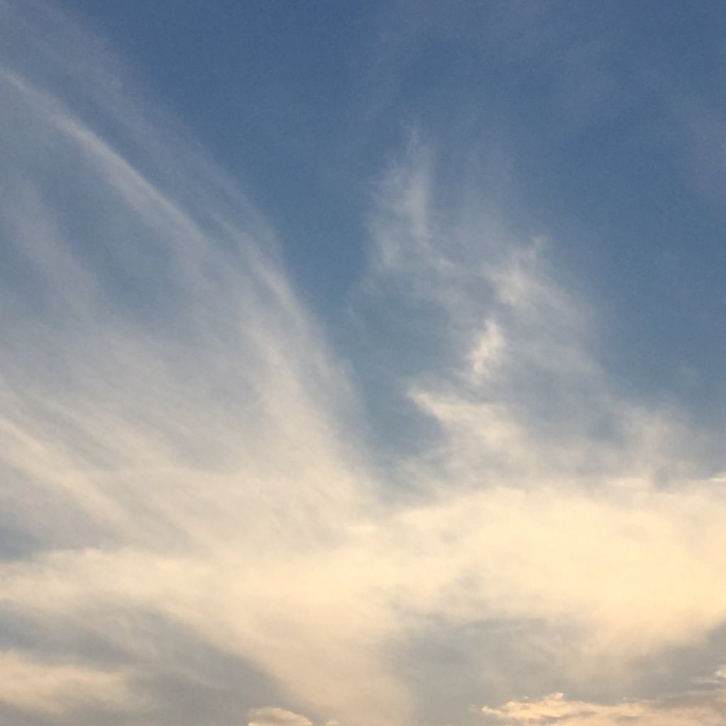 hikonyaan1's profile picture. 空と雲が好きです！(*^_^*)