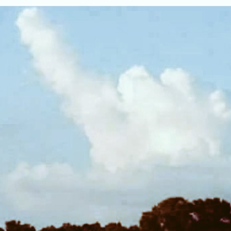 Loulzw1's profile picture. 