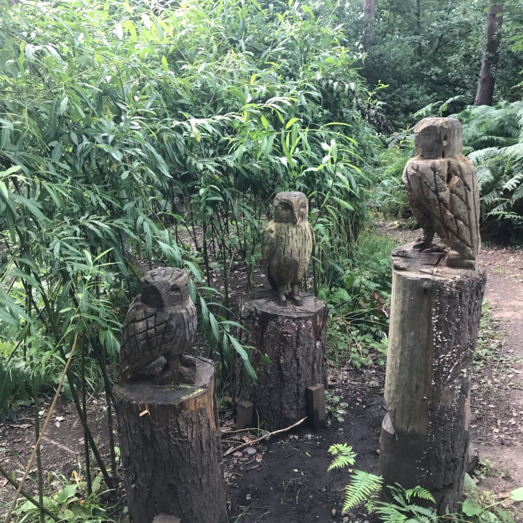 cottrell_louise's profile picture. 