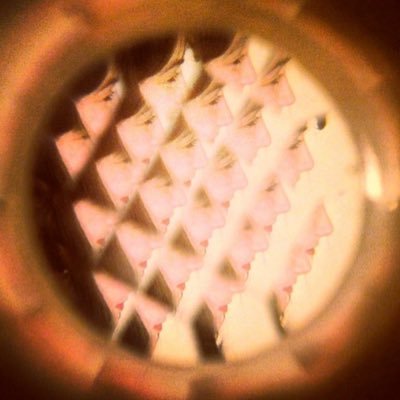 daraexplara's profile picture. director of programming @dctvny /// filmmaker @meerkatmedia collective