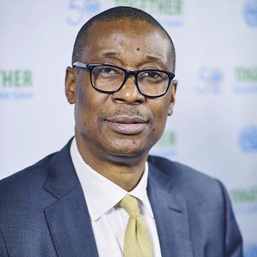 Image result for Okechukwu Enelamah