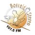 Bosveld Stereo 107.5 (@BosveldStereo) Twitter profile photo