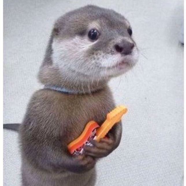 The Wise Otter makes theatrical films for a living.