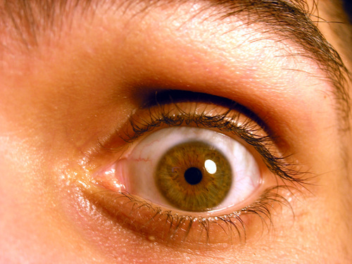 MMargey's profile picture. SEO Specialist from Ireland. Massive LFC fan and unbeaten at Rock-Paper-Scissors.