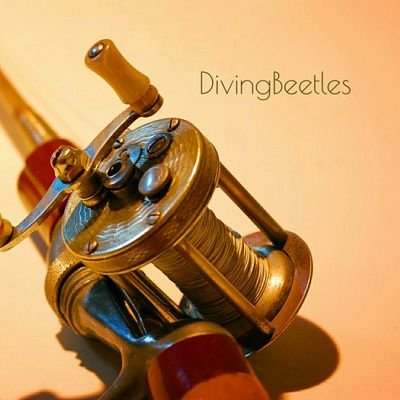 bass fishing team“Diving Beetles”隊長 
73年式♂
下向いてる魚に興味は無し
水面勝負あるのみ
やっぱフローター最強説
珍しくもないHeddonが好きだけど最近ラインスラックにハマってる
#トップウォーター#フローター#ダイレクトリール#オールドタックル#ラインスラック