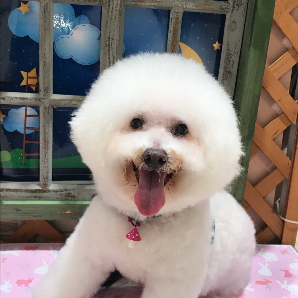 ka_wanwan's profile picture. 