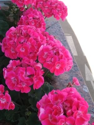 Anamarilopez26's profile picture. 