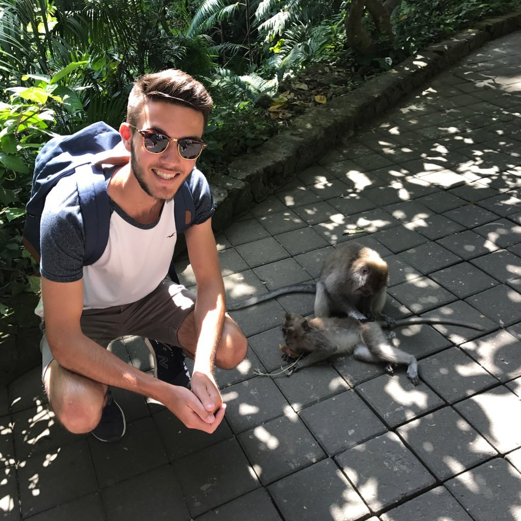 MaxenceMartin6's profile picture. everything is illuminated.