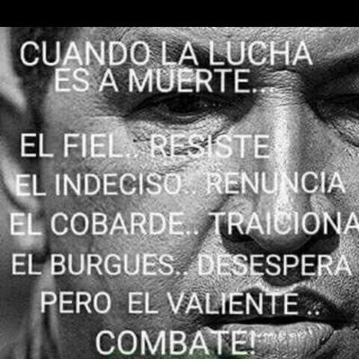NestorDanielOs3's profile picture. Chavez vive la patria sigue
